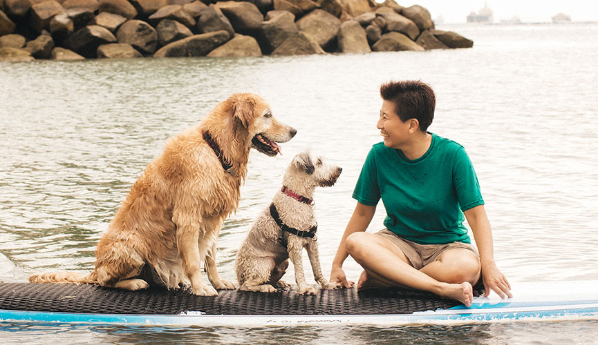 Cheerful Dogs Nee on Sentosa